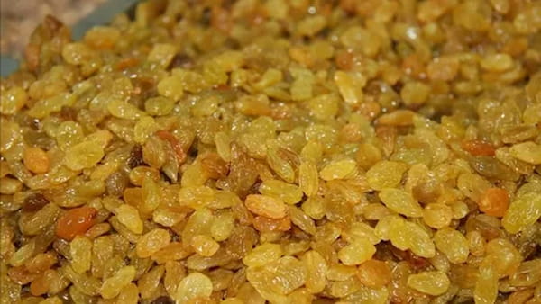 تصویر 1 از خرید و قیمت کشمش آجیلی با کیفیت + فروش عمده
